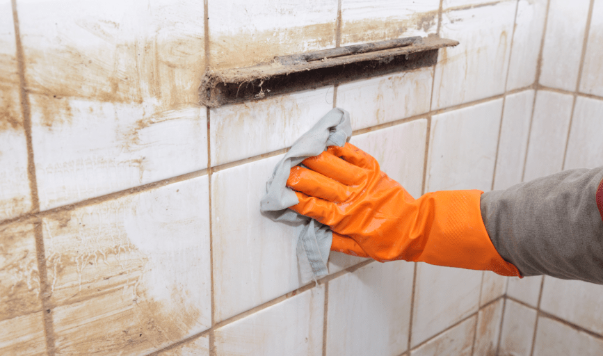 Casa Clean 